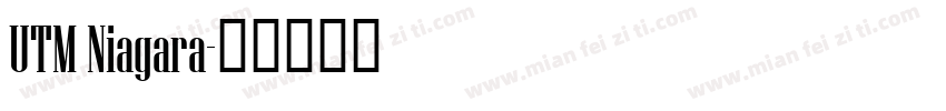 UTM Niagara字体转换